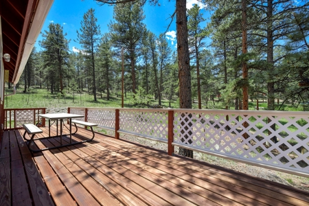 Colorado Mountain Getaway Cabin in Florissant Colorado - image 18