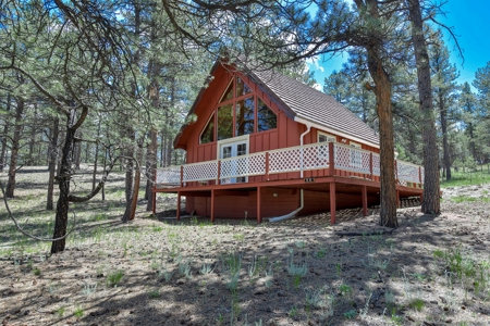 Colorado Mountain Getaway Cabin in Florissant Colorado - image 11