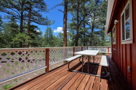 Colorado Mountain Getaway Cabin in Florissant Colorado - image 16