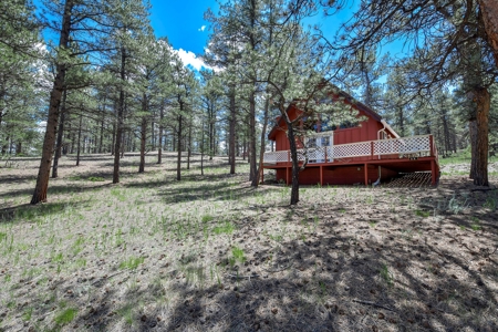 Colorado Mountain Getaway Cabin in Florissant Colorado - image 15