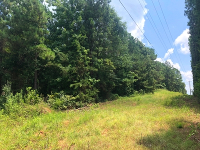 East Texas Timberland Hunting and Investment Tract - image 3