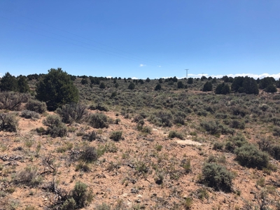 40 acres Glade Park, Colorado land - image 1