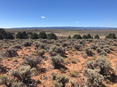 40 acres Glade Park, Colorado land - image 6