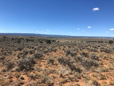 40 acres Glade Park, Colorado land - image 4