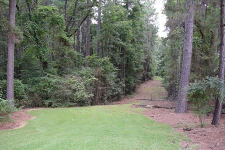 Rogers Ranch at Mill Creek Timberland Tract, Pond East TX - image 32