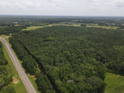 Rogers Ranch at Mill Creek Timberland Tract, Pond East TX - image 2