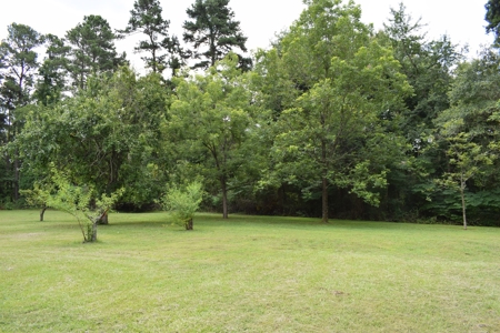 Rogers Ranch at Mill Creek Timberland Tract, Pond East TX - image 33