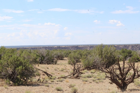 Land Parcel for Sale North of St. Johns AZ - image 1