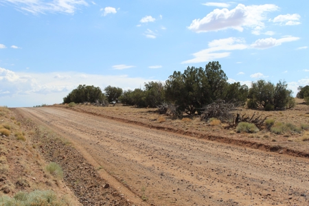 Land Parcel for Sale North of St. Johns AZ - image 3