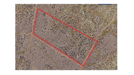 Land Parcel for Sale North of St. Johns AZ - image 2