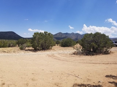 Rare 40± Acres with Impressive Views in Madrid near Santa Fe - image 3