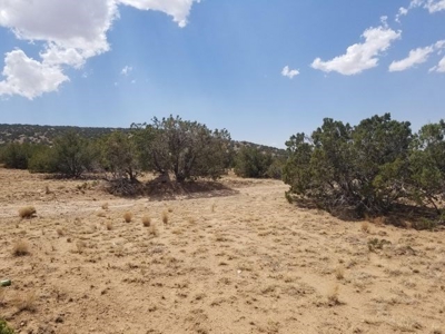 Rare 40± Acres with Impressive Views in Madrid near Santa Fe - image 2