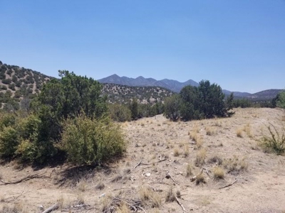 Rare 40± Acres with Impressive Views in Madrid near Santa Fe - image 1