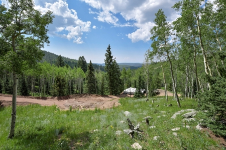 Log Home  - Extraordinary 35 acres in Central Colorado Mtns - image 3