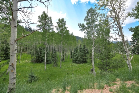 Log Home  - Extraordinary 35 acres in Central Colorado Mtns - image 9