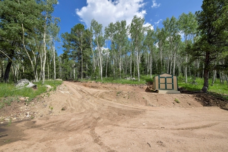 Log Home  - Extraordinary 35 acres in Central Colorado Mtns - image 4