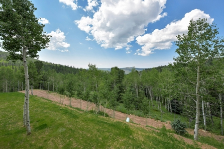 Log Home  - Extraordinary 35 acres in Central Colorado Mtns - image 6