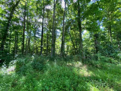200 acre sportsman's paradise For Sale near Edmonton, KY - image 6