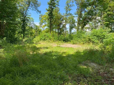 200 acre sportsman's paradise For Sale near Edmonton, KY - image 5