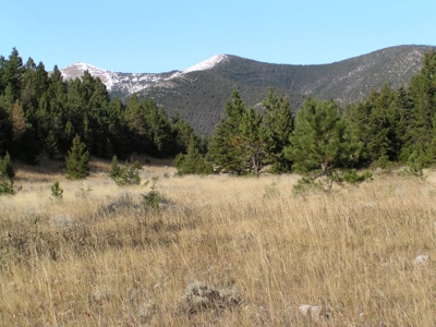 Prime Montana Hunting Acreage on Swimming Woman Creek - image 12