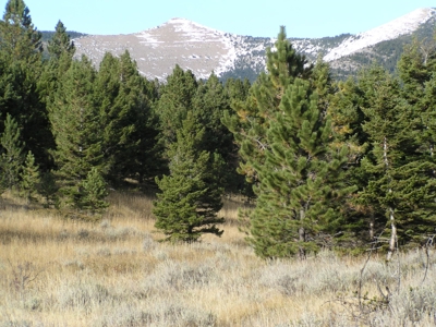 Prime Montana Hunting Acreage on Swimming Woman Creek - image 9
