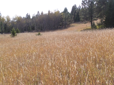 Prime Montana Hunting Acreage on Swimming Woman Creek - image 5