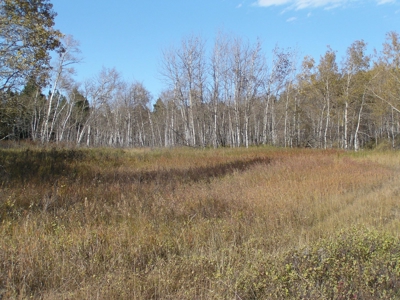 Prime Montana Hunting Acreage on Swimming Woman Creek - image 2