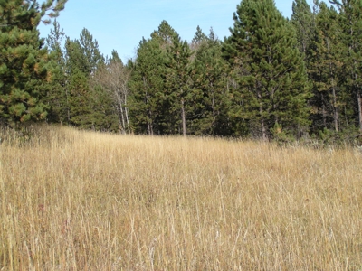 Prime Montana Hunting Acreage on Swimming Woman Creek - image 4
