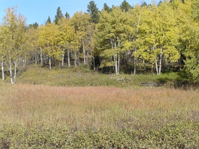 Prime Montana Hunting Acreage on Swimming Woman Creek - image 1
