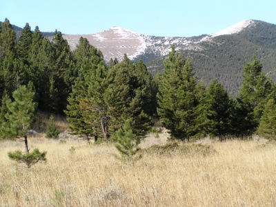 Prime Montana Hunting Acreage on Swimming Woman Creek - image 13