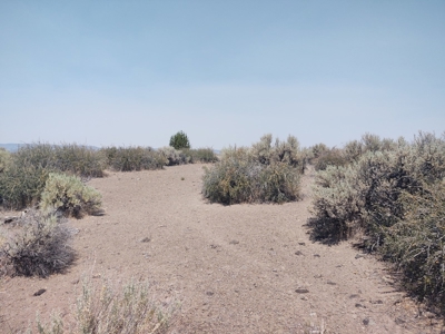 California Pines Lake Unit 1-A Modoc County +/-1 Acre - image 12