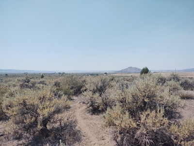 California Pines Lake Unit 1-A Modoc County +/-1 Acre - image 21