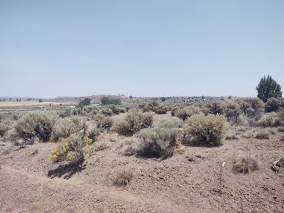 California Pines Lake Unit 1-A Modoc County +/-1 Acre - image 3