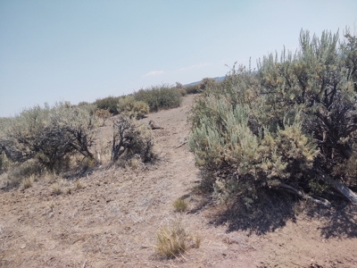 California Pines Lake Unit 1-A Modoc County +/-1 Acre - image 9