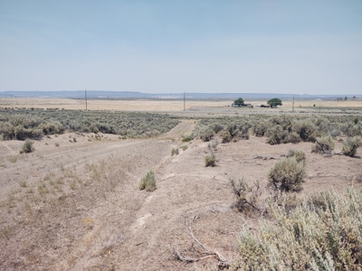 California Pines Lake Unit 1-A Modoc County +/-1 Acre - image 13
