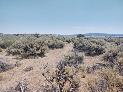 California Pines Lake Unit 1-A Modoc County +/-1 Acre - image 19