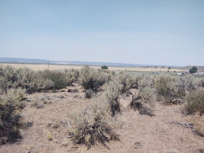 California Pines Lake Unit 1-A Modoc County +/-1 Acre - image 20
