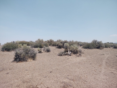 California Pines Lake Unit 1-A Modoc County +/-1 Acre - image 11