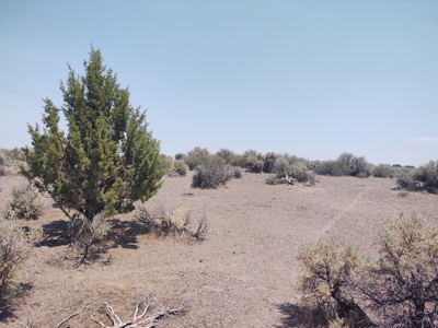 California Pines Lake Unit 1-A Modoc County +/-1 Acre - image 1