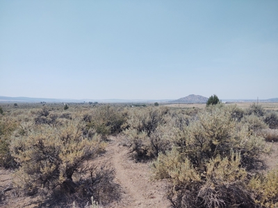 California Pines Lake Unit 1-A Modoc County +/-1 Acre - image 2