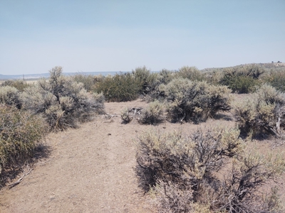 California Pines Lake Unit 1-A Modoc County +/-1 Acre - image 18