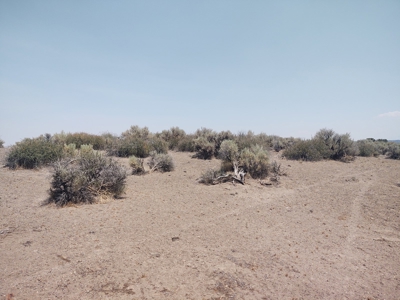 California Pines Lake Unit 1-A Modoc County +/-1 Acre - image 10