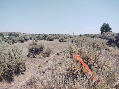 California Pines Lake Unit 1-A Modoc County +/-1 Acre - image 14
