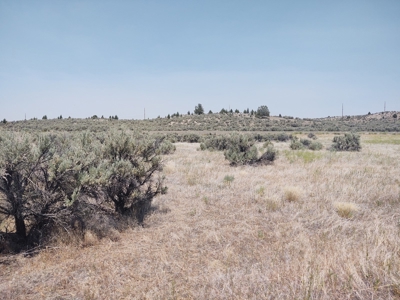 Level Lot Close to California Pines Entrance - image 4