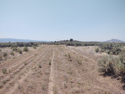 Level Lot Close to California Pines Entrance - image 2