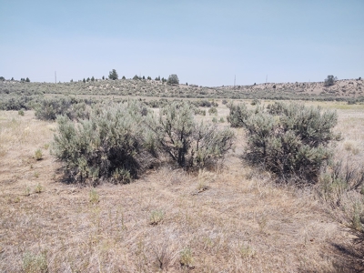 Level Lot Close to California Pines Entrance - image 3