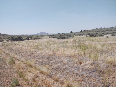 Level Lot Close to California Pines Entrance - image 7