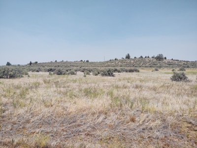 Level Lot Close to California Pines Entrance - image 1