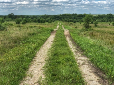 Investment Kansas Land • Mineral Income • Whitetail Hunting - image 10