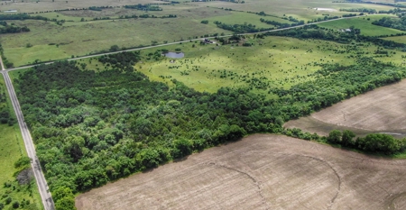 Investment Kansas Land • Mineral Income • Whitetail Hunting - image 1